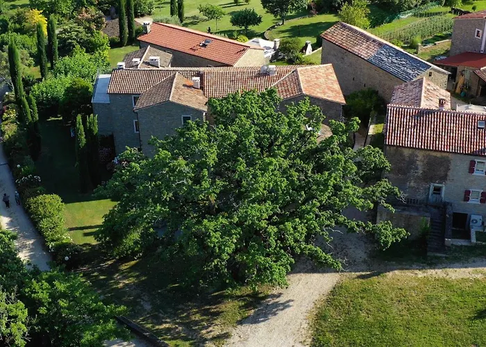 L\'Abbraccio Della Quercia